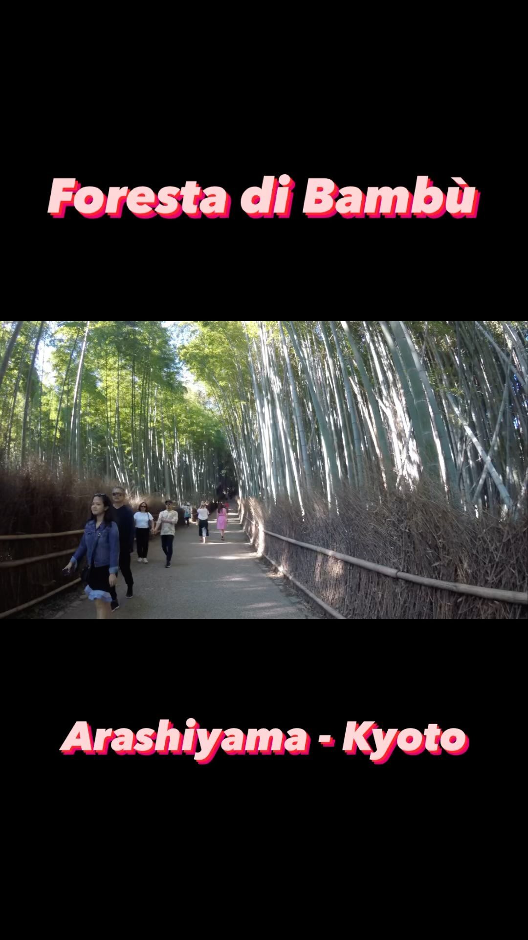 La foresta di bambù di Arashiyama, o Bamboo Grove, è famosa a livello locale e rinomata in tutto il mondo. I visitatori possono passeggiare su sentieri fiancheggiati da infinite file di imponenti bambù. L’esperienza è stata descritta come ultraterrena, serena e onirica…

#arashiyama #bambooforest #kyoto #japan #giappone #forestadibambù #giappone #jntoitalia #traveljapan #travel #travelblogger #travelreels #travelling #travelgram #viaggiare #viaggio #reels #iriseperiplotravel #wanderlust
